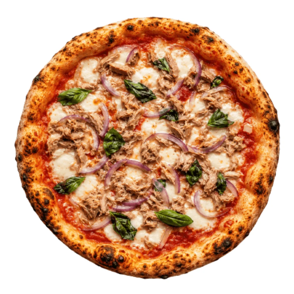 Dream Tacos - Pizza Thon